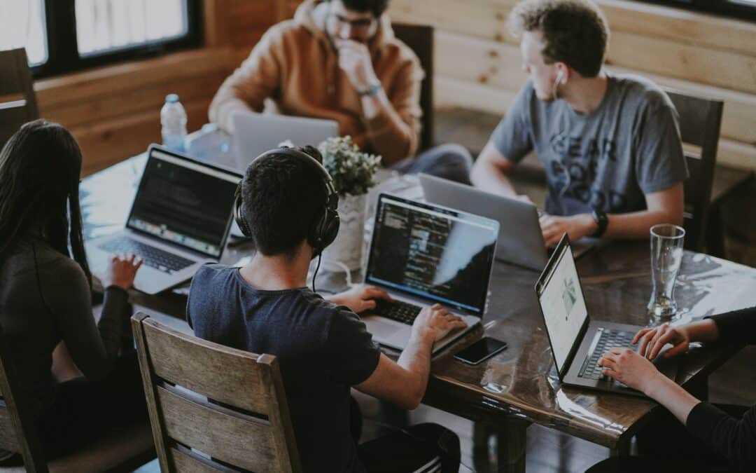 The IS manager at the heart of the development and evolution of systems